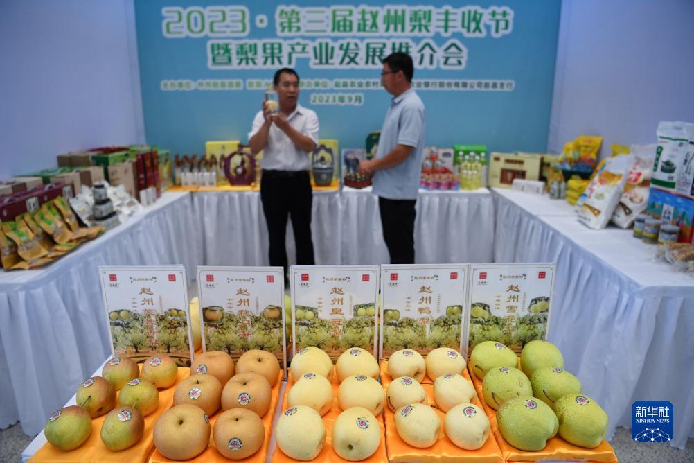 亚洲城游戏